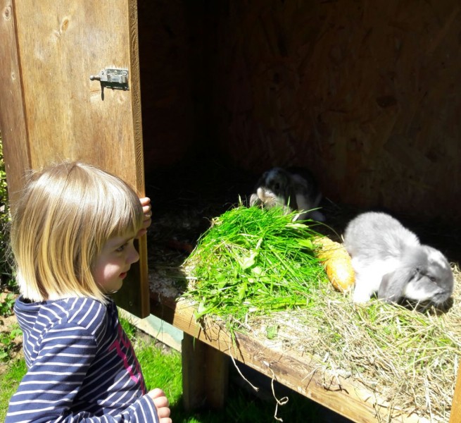 Franziska-Sofia mit unseren Hasen